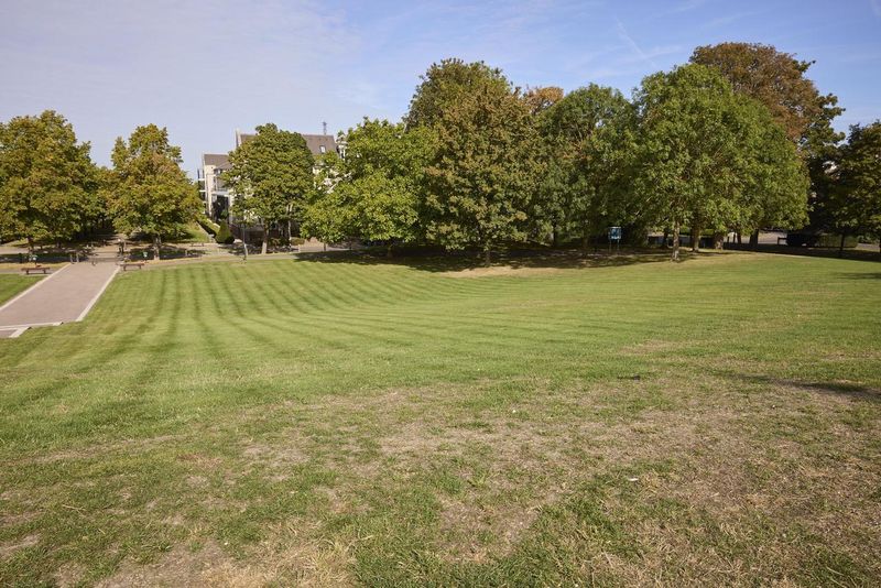 Front lawn and grounds